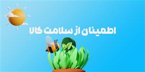 کینوا سفید 100 گرمی