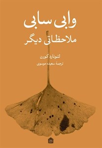 وابی سابی ملاحظاتی دیگر