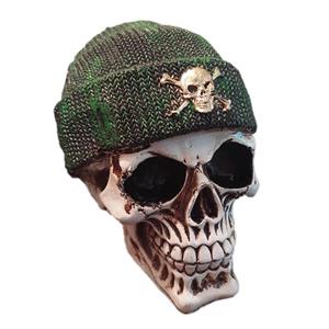 مجسمه مدل جمجمه کد A73