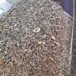 چای سبز سیلان - 1000 گرم