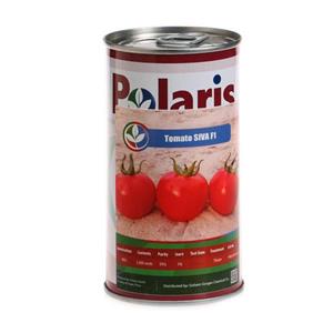 بذر گوجه فرنگی سیوا پولاریس سیدز مدل F1