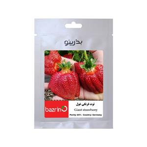 بذر میوه توت فرنگی غول F1 آلمانی بذرینو کد BZNO-291