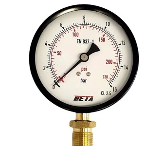 گیج فشار بتا مدل 16bar-10cm