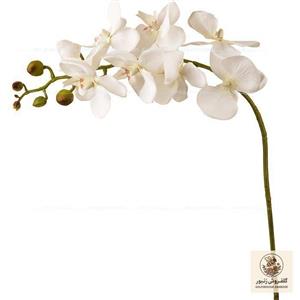 گل مصنوعی مدل شاخه ارکیده لمسی چرمی 9 گل