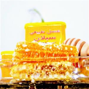 عسل باموم طبیعی بهاره 1 کیلویی