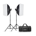 کیت فلاش گودکس Godox MS300-V Studio Flash Monolight (2-Light Kit)