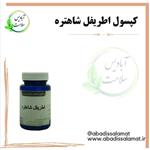 مکمل گیاهی اطریفل شاهتره آبادیس