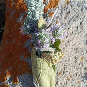 اسماج درمنه چهل گرمی با رایحه طبیعی وخاص