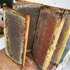 عسل طبیعی بابونه موم دار(عسل  اسمعیلی)