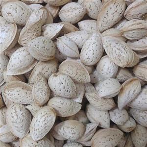بادام پوست کاغذی درجه یک