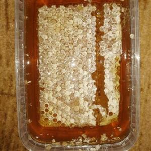 عسل کوهستانی با موم خود یافت