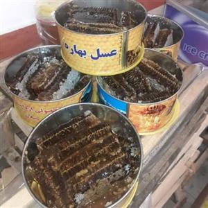عسل طبیعی آویشن موم دار(عسل  اسمعیلی)