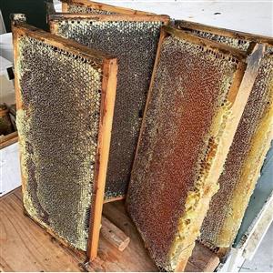 عسل طبیعی بابونه موم دار2کیلویی(عسل  اسمعیلی)