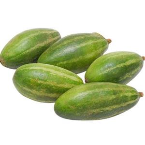 بذر تل میانه  20 عددی