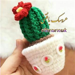 جاسوزنی بافتنی کاکتوس