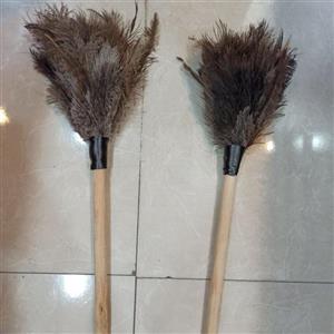 گردگیر کوچک پر شترمرغ یک عددی با 