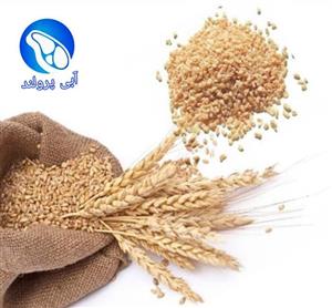 بلغور گندم 900گرمی