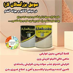 سویق بزرگسالان ویژه