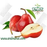 نهال گلابی رد آنجو قرمز(ارسال پنج عدد به بالا)