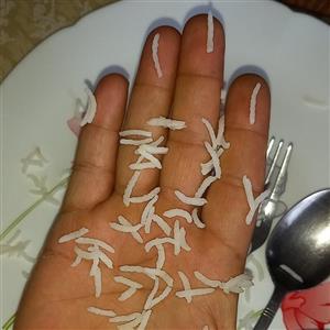 برنج کشت دو امراللهی