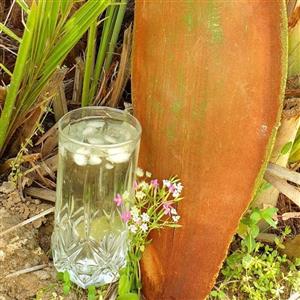 عرق طارونه یا کاشکیلو