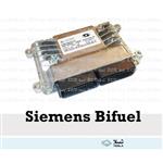 SIEMENS BIFUEL