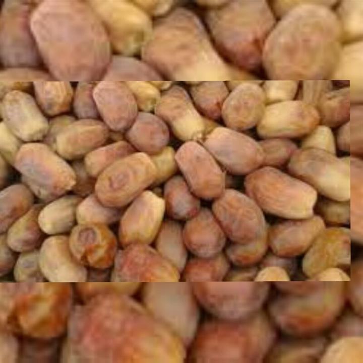 خرما زاهدی فله