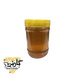 عسل گون نیمه تغذیه نیم کیلویی گارنت کوهستان(مستقیم از زنبوردار)