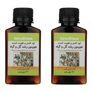  کود کامل و تقویت کننده هورمون رشد گل و گیاه کودینو مدل K-20 حجم 120 میلی لیتر بسته 2 عددی