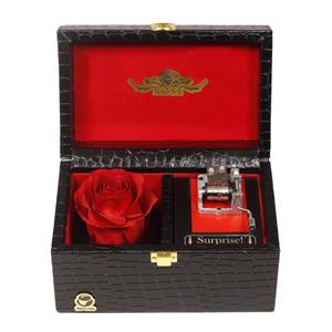 گل رز جاودان مدل موزیکال 705