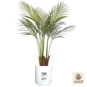 گیاه طبیعی نخل اریکا تافکو کد 2038