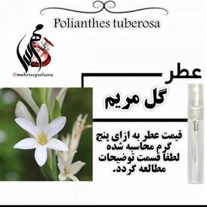 عطر گل مریم اعلا Polianthes tuberosa حجم 5 میل 