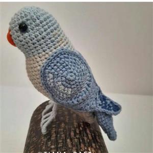 کبوتر بافتنی پونه