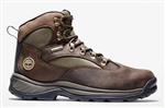 کفش کوهنوردی ضد آب مردانه تیمبرلند آمریکا Timberland WATERPROOF CHOCORUA HIKING BOOT FOR MEN IN BROWN