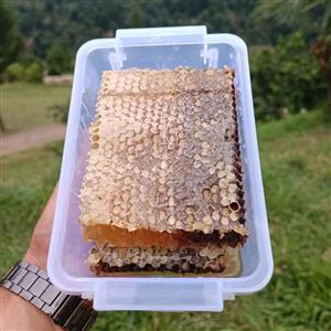 عسل موم دار طبیعی چهل گیاه کردستان یک کیلوگرم از دل طبیعت بکر و سرسبز کوهی