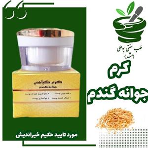 کرم جوانه گندم ضدپیری رفع چین و چروک شفاف کننده جوانساز پوست از حکیم خیراندیش طب سنتی بوعلی مشهد 