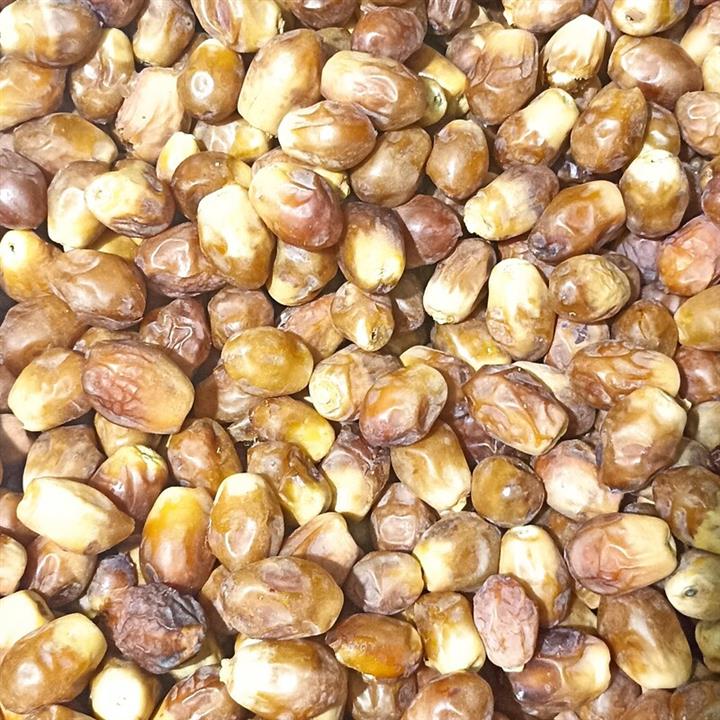 خرما زاهدی فله