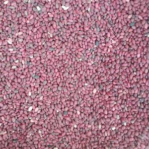 لوبیا قرمز محلی چهارگل چهارمحال وبختیاری برداشت امسال(1000گرمی)