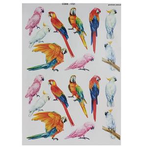 برچسب ترنسفر مدل طوطی