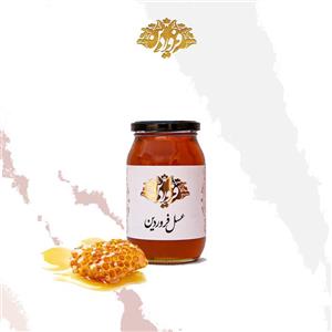 عسل آکاسیا فروردین  650 گرم 