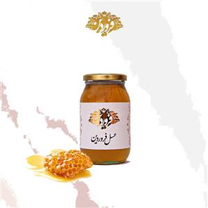 عسل دیابتی فروردین  650 گرم 
