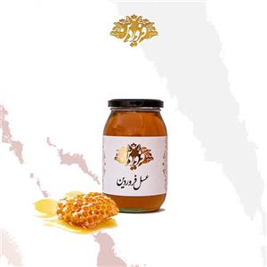 عسل طبیعی چهل گیاه کوهستان فروردین - 650 گرم