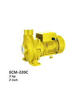 جت پمپ جکوزی اکوا استرانگ مدل ECM 220C 