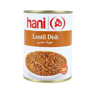 کنسرو خوراک عدسی هانی 380 گرمی