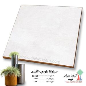 سرامیک سیلوانا سایز 60*60 کیمیا سرام 