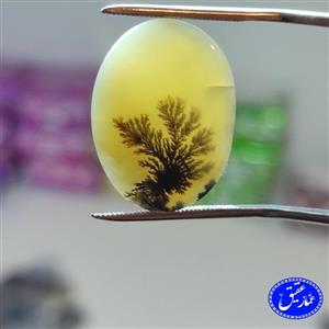نگین عقیق زرد شجر تک درخت
