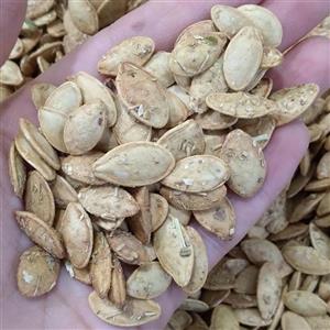 تخمه کدو دوآتیشه گلپری فوق لوکس خوشطعم تازه(یک کیلو)
