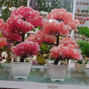 درختچه مصنوعی بنسای