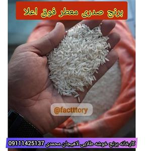 برنج صدری هاشمی یکدست معطر خوشبو مهمان پسند 