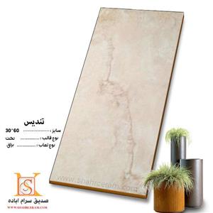 سرامیک تندیس سایز  60*30 صدیق سرام